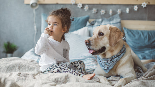 Are dogs good for kids?