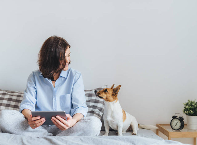 What my dog is trying to tell me?