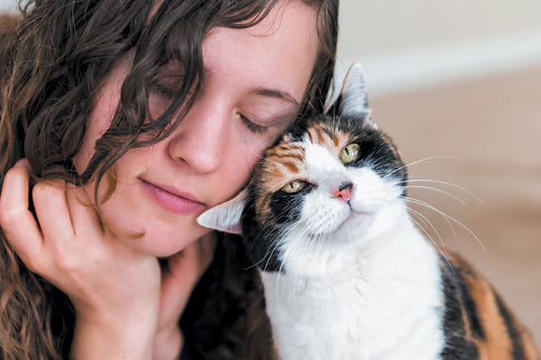 Why do cats rub their head against you?