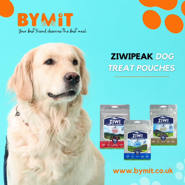 What is the best food to feed my dog?