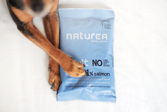 3 Healthy Meal Options for your Dog