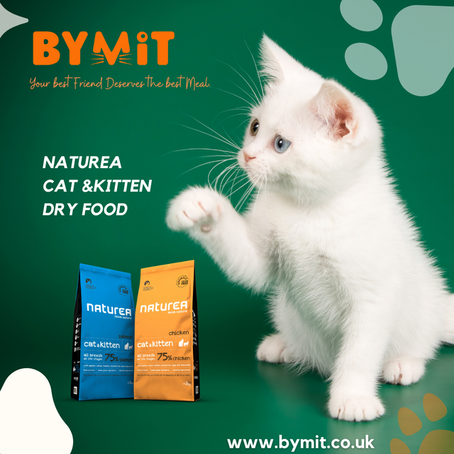 What is the best food to feed your cat?