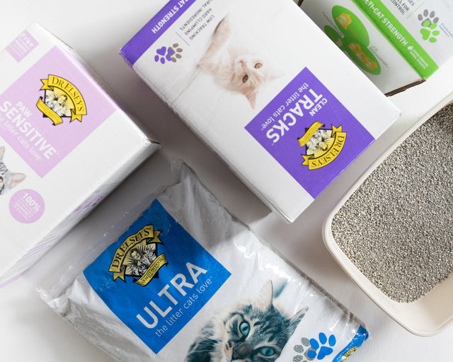 Different Types of Cat Litter and Their Pros & Cons