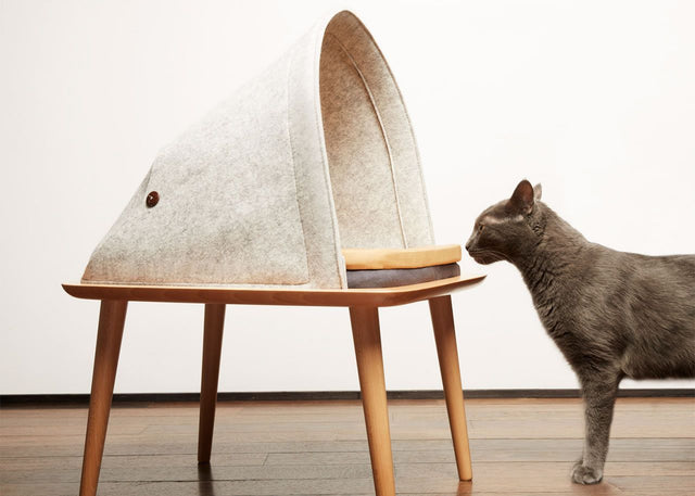A Quick Guide to Pet Furniture