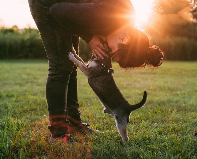 How to Get Well with Your Pet