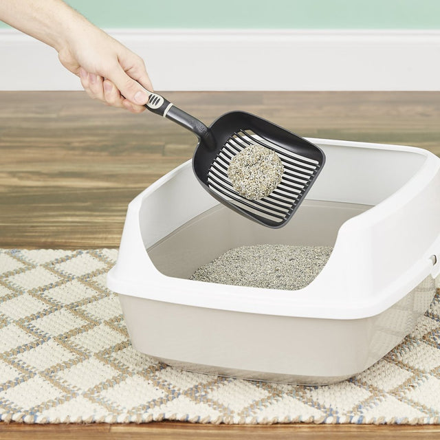 Are cats attracted to cat litter?