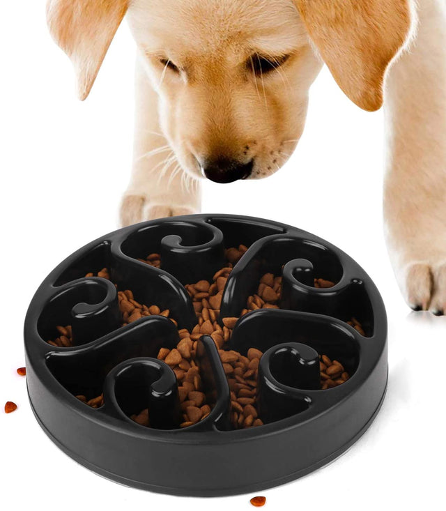 Are slow feeder bowls good for dogs?