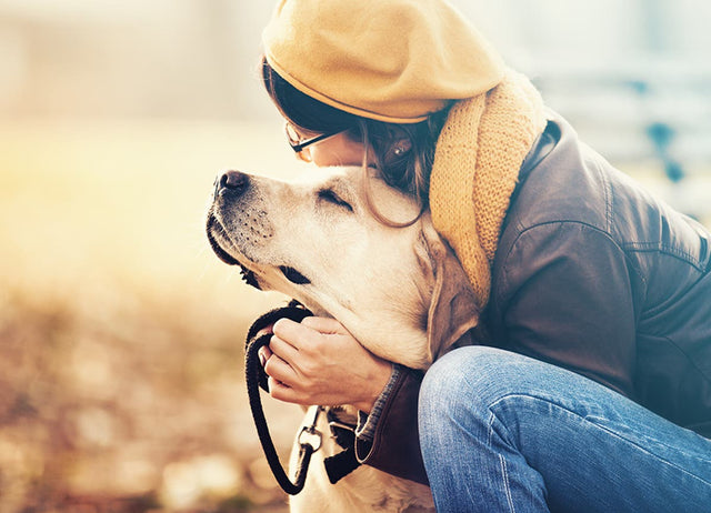 Why are dogs so trusting of humans?