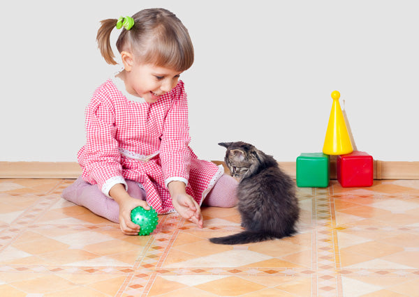 Do cats like when you play with them?