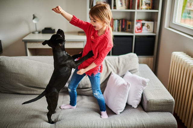 How do I interact with my dog?