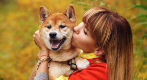 What things do dogs like?