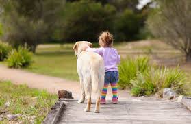 Why dogs are so loyal to humans?