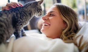 How does a cat Recognise its owner?