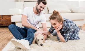 What a first-time dog owner should know?