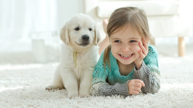 What age should a child get a dog?
