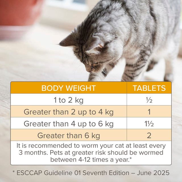 Beaphar WORMclear® Worming Tablets for Cats