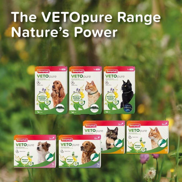 Beaphar VETOpure Plant-Based Protection Flea Spot-On for Dogs