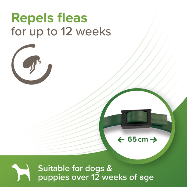 Beaphar VETOpure Plant-Based Protection Flea Collar for Dogs 65cm