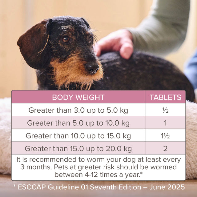 Beaphar WORMclear Worming Tablets for Dogs