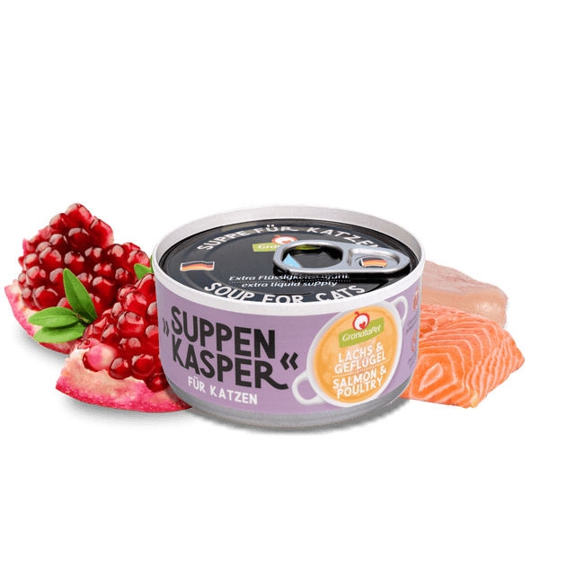 Granatapet Cat snacks Suppenkasper salmon & poultry