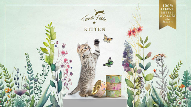 Terra Felis Grain Free Kitten Wet Food, Beef