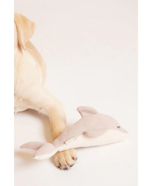 Max Bone Daphne Dolphin Dog Toy