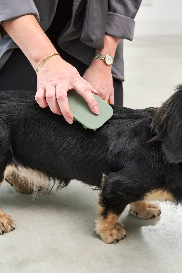 MiaCara Pelo Dog Bathing Brush