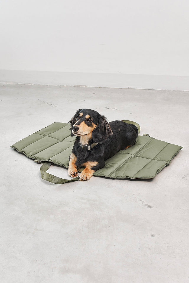 MiaCara Strada Dog Travel Bed