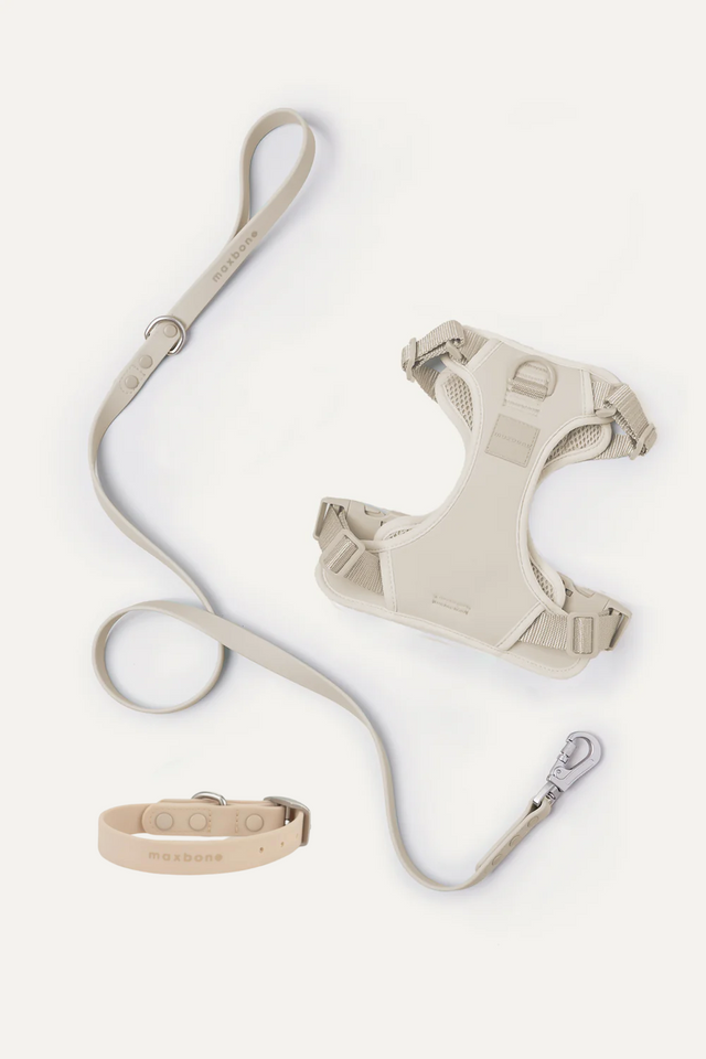 Max Bone Double Panel Hazel Harness & Collar Dog Walk Set