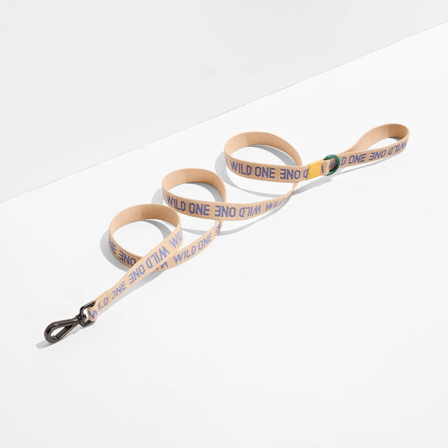 Wild One Lightweight Woven Dog Leash - Retro