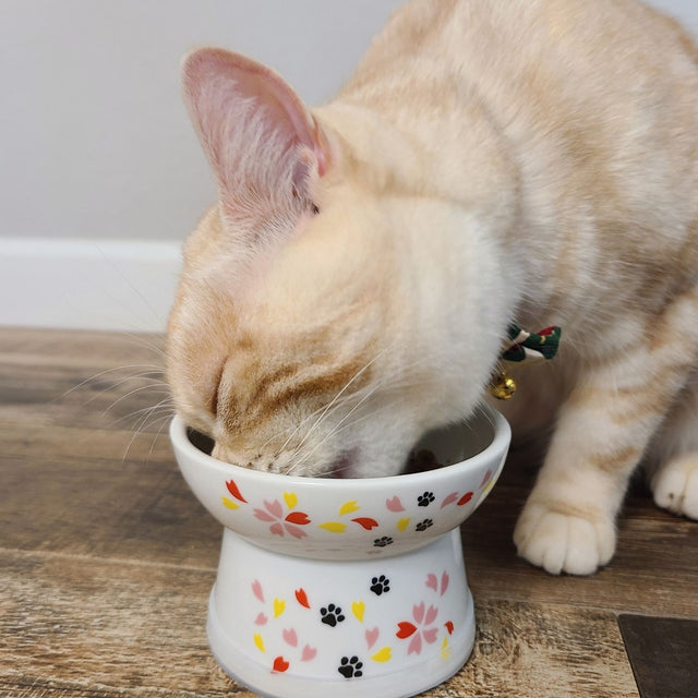 Necoichi Raised Cat Food Bowl (New Sakura)