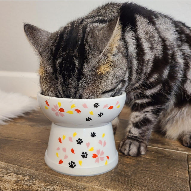 Necoichi Raised Cat Food Bowl (New Sakura)