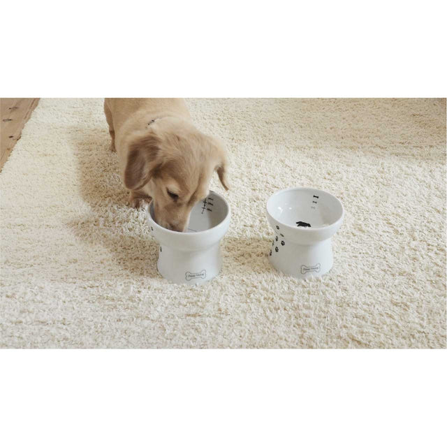 Necoichi Raised Dog Food Bowl