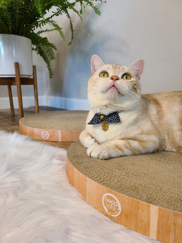 Necoichi Cozy Cat Scratcher Bowl Replacement Pad 2P Oak
