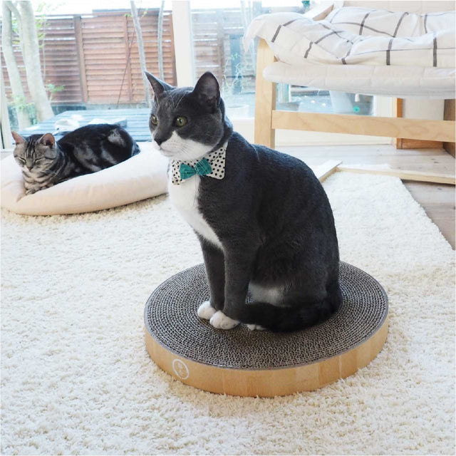 Necoichi Cozy Cat Scratcher Bowl Replacement Pad 2P Oak