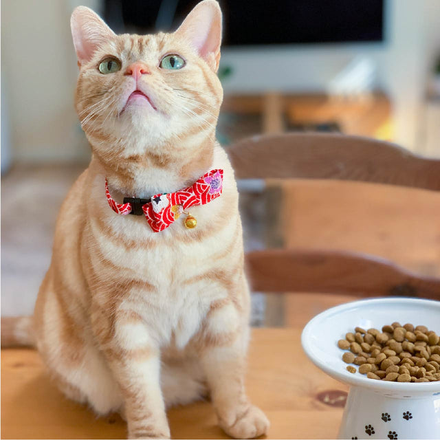 Necoichi Matsuri Bow Tie Cat Collar Red