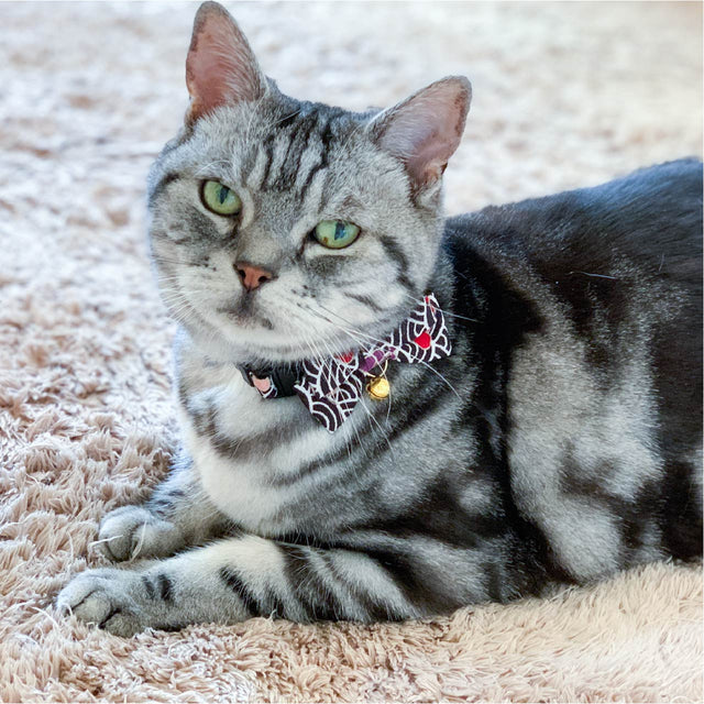 Necoichi Matsuri Bow Tie Cat Collar Black