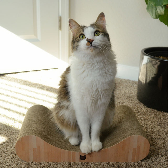 Necoichi Premium Comfort Curved Cat Lounger