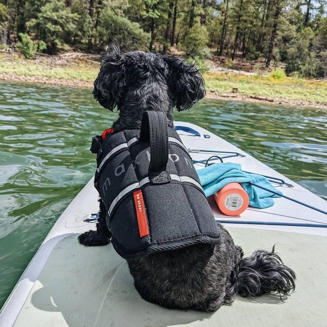 Max Bone Life Jacket for Dogs