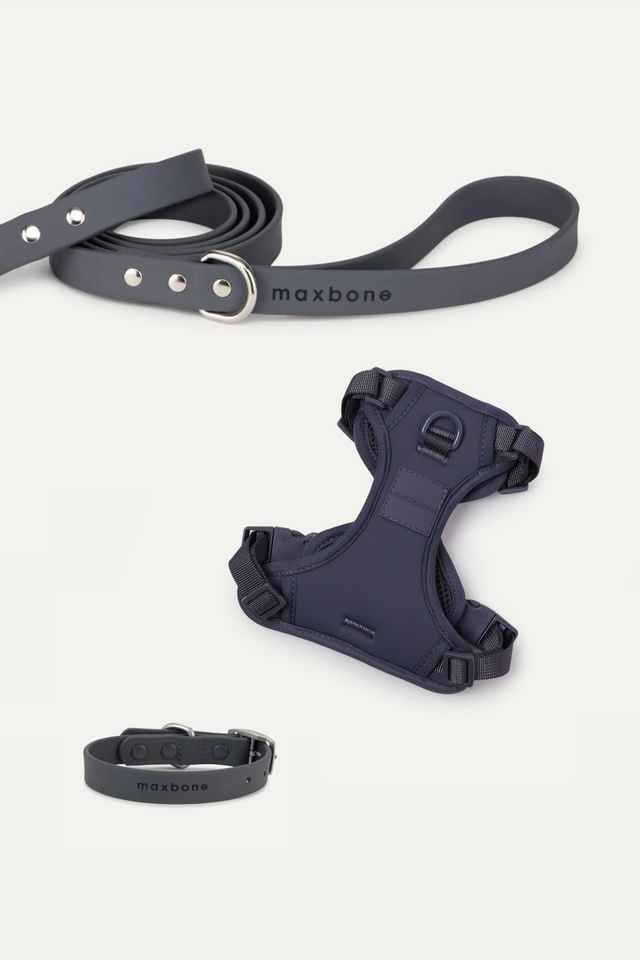 Max Bone Double Panel Hazel Harness & Collar Dog Walk Set