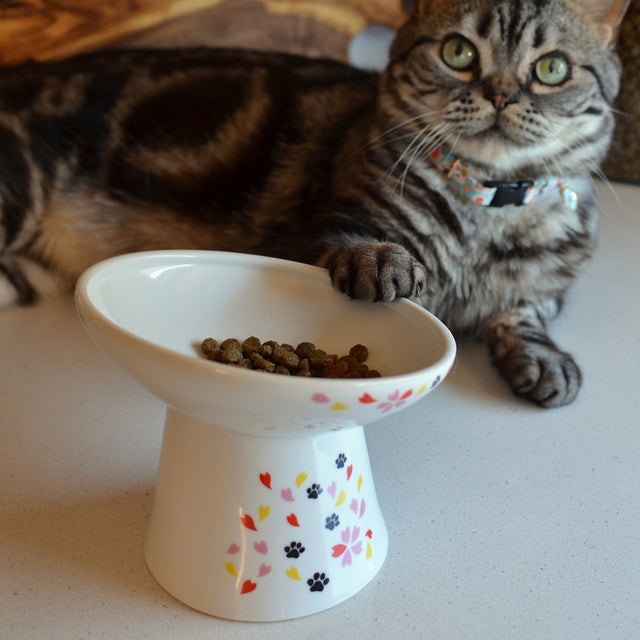 Necoichi Tilted Stress Free Raised Cat Food Bowl (New Sakura)