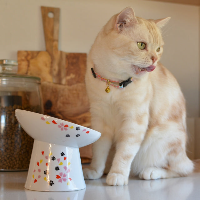 Necoichi Tilted Stress Free Raised Cat Food Bowl (New Sakura)