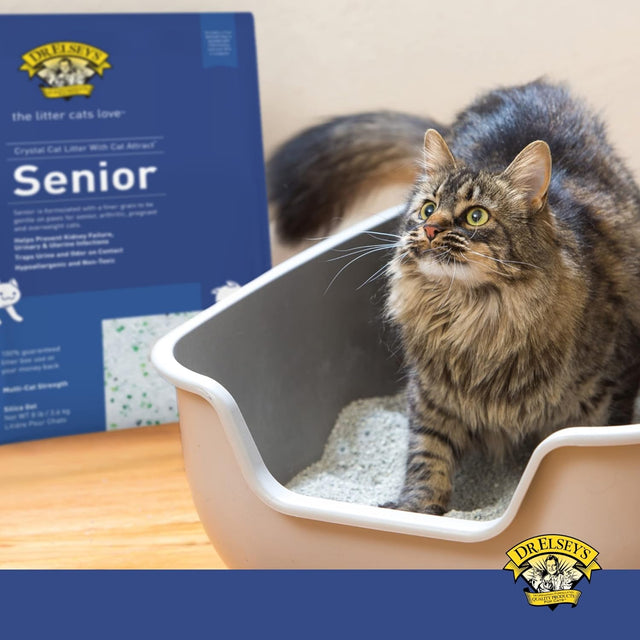 Dr. Elsey's Precious Cat Senior Silica Crystal Cat Litter