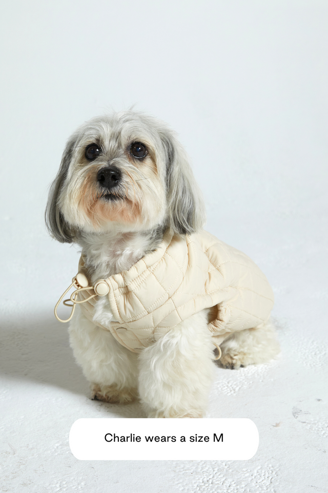 Max Bone Easy Fit Dog Jacket - Sand