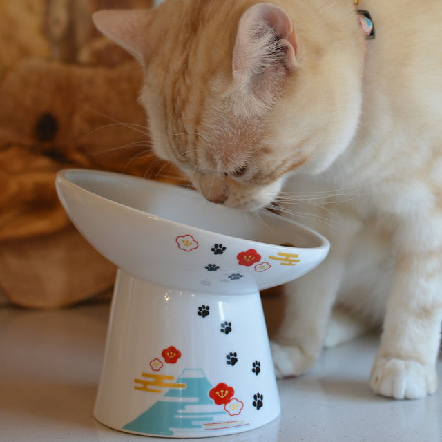 Necoichi Tilted Stress Free Raised Cat Food Bowl (Fuji)