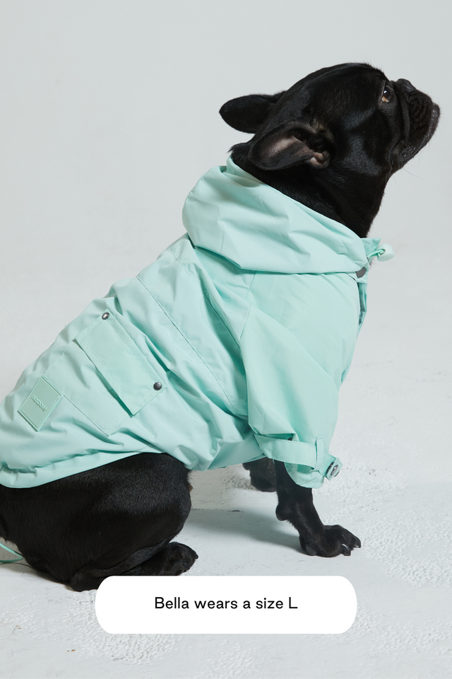 Max Bone Talon Dog Raincoat Mint