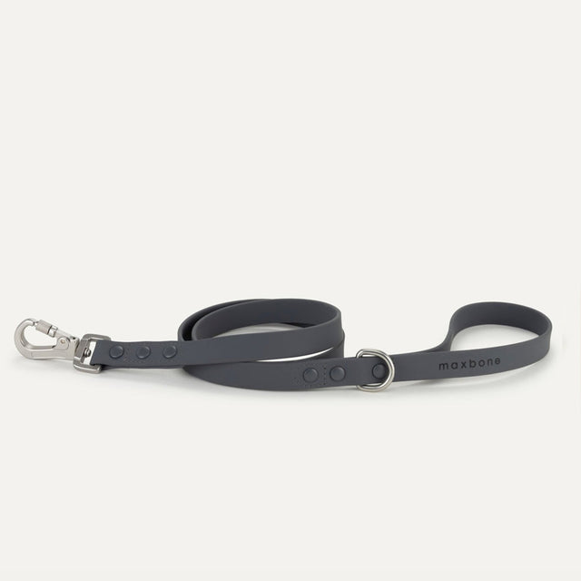 Max Bone Hazel Dog Leash - Charcoal