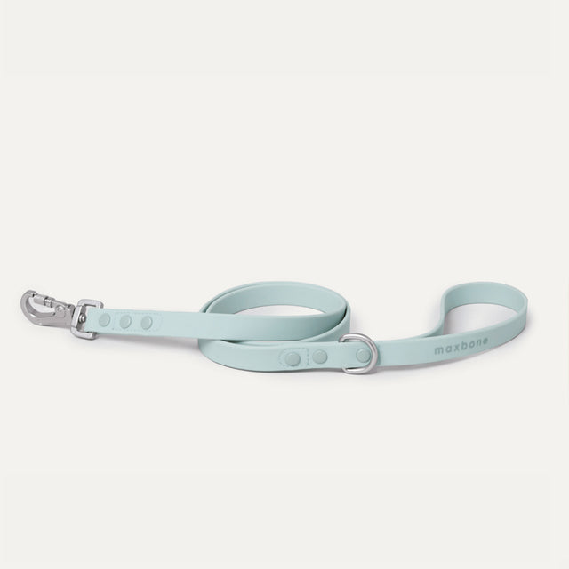 Max Bone Hazel Dog Leash - Mint