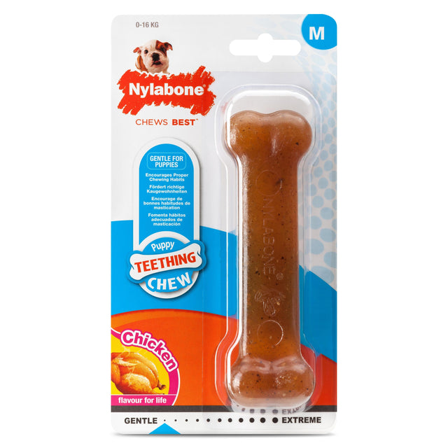 Nylabone Chicken Puppy Bone