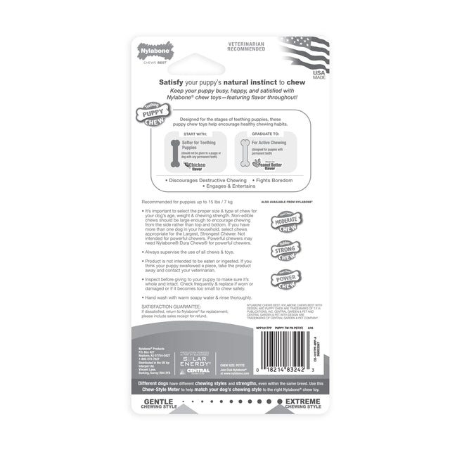 Nylabone Peanut Butter / Chicken Puppy Bone Twin Pack